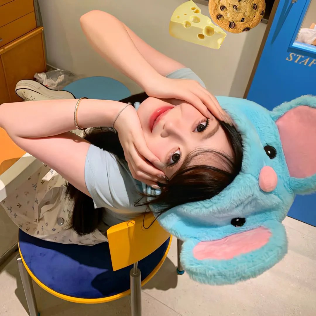 甜甜圈之王在线观看